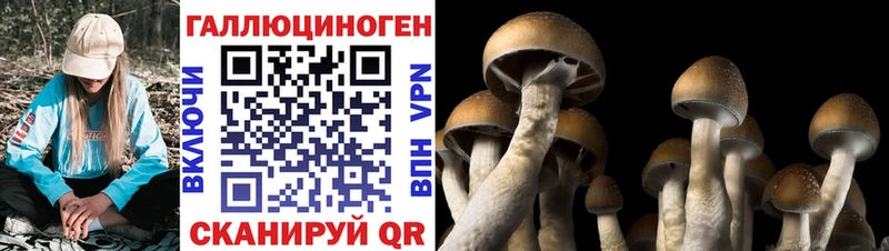 Псилоцибиновые грибы мухоморы  Апшеронск 
