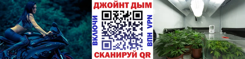 что такое   Апшеронск  Канабис Amnesia 